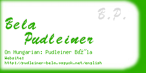 bela pudleiner business card